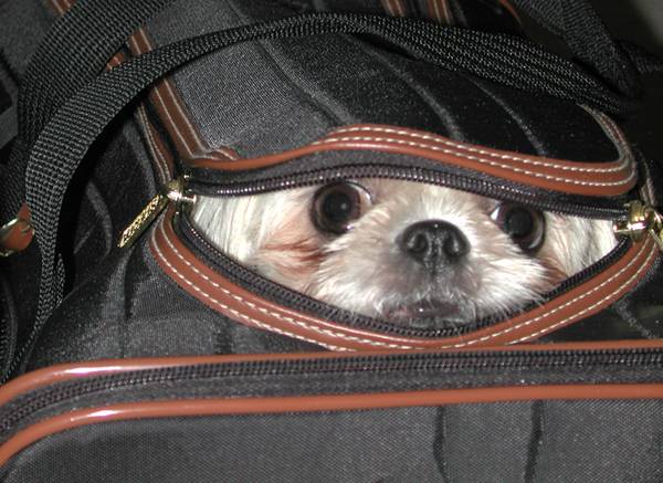 are_we_there_yet.jpg